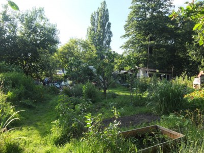 Wurzelwerk_Garten