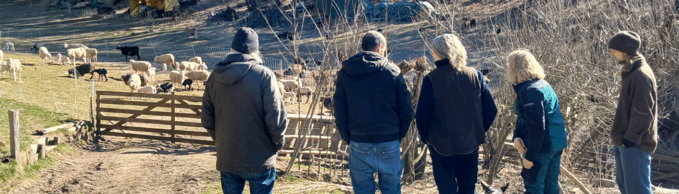 Hofbegehungen auf acht Betrieben