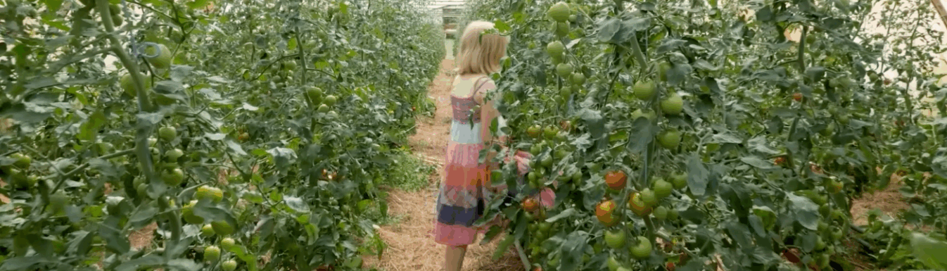 Projektfilm: Neue Wege in der Landwirtschaft